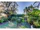 Lush backyard features tropical landscaping with a view of more trees in the distance at 510 Pine S Ave, Oldsmar, FL 34677