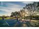 A view of the pickleball courts and players during sunset at the local community park at 510 Pine S Ave, Oldsmar, FL 34677