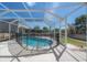 Enclosed pool featuring safety fence surrounded by a screened-in lanai with abundant light at 9224 Lost Mill Dr, Land O Lakes, FL 34638