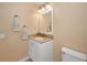 Convenient powder room with granite countertop and updated fixture at 1028 Rosetree Ln, Tarpon Springs, FL 34689