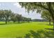 Scenic golf course with mature trees, and lush green grass creates a tranquil outdoor environment at 2709 Fairway View Dr, Valrico, FL 33596