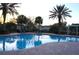 Community pool surrounded by palm trees and lounge seating at 8556 Tidal Bay Ln, Tampa, FL 33635