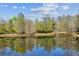 Scenic view of a tranquil pond reflecting the surrounding trees and sky at 9481 Highland Oak Dr # 404, Tampa, FL 33647