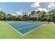 Well-maintained tennis courts, surrounded by lush trees and clear blue skies, provide an ideal setting for a competitive match at 9481 Highland Oak Dr # 404, Tampa, FL 33647
