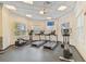 Fitness center featuring treadmills and ellipticals at 14542 Mirabelle Vista Cir, Tampa, FL 33626