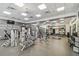 A view of the gym including a variety of weight training and cardio equipment at 14542 Mirabelle Vista Cir, Tampa, FL 33626