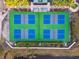Overhead view of the pickleball courts at 14542 Mirabelle Vista Cir, Tampa, FL 33626