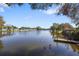 Picturesque lake view from backyard featuring a wooden dock and natural surroundings at 1549 San Christopher Dr, Dunedin, FL 34698