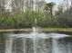 Pond view with water fountain at 12155 Environmental Dr # 6, New Port Richey, FL 34654