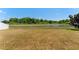 Vast backyard featuring a pond with lush trees and plenty of green grass, providing a relaxing atmosphere at 14618 Scottburgh Glen Dr, Wimauma, FL 33598