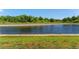 A beautiful neighborhood pond has a grassy edge and treeline in the distance at 14618 Scottburgh Glen Dr, Wimauma, FL 33598