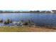 Lakeside backyard offering picturesque water views and lush natural surroundings at 15613 Charr Island St, Sun City Center, FL 33573