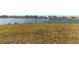 Expansive backyard showcasing a serene lake view perfect for relaxation and outdoor enjoyment at 15613 Charr Island St, Sun City Center, FL 33573