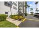 Building with mature landscaping and walkway leading to an entrance on a sunny day at 2401 Bayshore Blvd # Cu1, Tampa, FL 33629