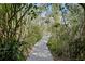 A walkway path surrounded by lush greenery with tree coverage at 18312 Pleasant Ridge Pl, Lutz, FL 33548