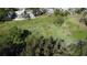 Expansive green space with scattered trees, a walking path, and surrounding residential area at 201 79Th Ne Ave, St Petersburg, FL 33702