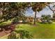 Beautifully landscaped front yard showcasing a charming single-story home with mature trees and vibrant foliage at 2340 W Bay Isle Se Dr, St Petersburg, FL 33705