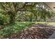 Large backyard showcasing mature trees, natural foliage, and ample space for potential landscaping or recreational use at 2710 W Osborne Ave # 1, Tampa, FL 33614