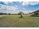 Lush green backyard with a single palm tree and white vinyl fence at 3303 Ranchdale Dr, Plant City, FL 33566