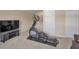 Finished basement offering an entertainment area with exercise equipment for a private gym at 3303 Ranchdale Dr, Plant City, FL 33566