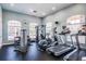 View of well-equipped fitness center with treadmills, weights, and large windows at 3417 Diamond Falls Cir, Land O Lakes, FL 34638