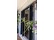 A front door with square windows, leads into a home with modern lighting at 3906 Versailles Dr, Tampa, FL 33634
