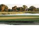 Picturesque golf course with a water hazard, lush greenery, and tropical palm trees in a tranquil setting at 3906 Versailles Dr, Tampa, FL 33634