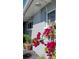 Close-up of the outdoor shower with bright pink bougainvillea and surrounding greenery, perfect for relaxation at 3906 Versailles Dr, Tampa, FL 33634