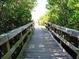 Tranquil wooden pathway through lush greenery, perfect for a peaceful walk at 3906 Versailles Dr, Tampa, FL 33634