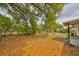 Large backyard featuring mature trees, storage shed, and a wooded area at 434 Pevetty Dr, Plant City, FL 33563