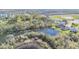 Scenic aerial shot showing houses next to a lake surrounded by green trees at 5016 Bella Armonia Cir, Wimauma, FL 33598