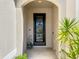 Covered front porch showcasing a welcoming decorative door and lush plants at 5016 Bella Armonia Cir, Wimauma, FL 33598