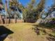 Large backyard with a privacy fence and mature trees at 6708 S Faul St, Tampa, FL 33616
