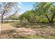 Large grass-covered backyard with mature trees in a lush setting at 8508 Beth Ct, Odessa, FL 33556