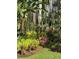 Picturesque backyard showcasing lush tropical plants and blooming flowers for a serene and vibrant outdoor space at 9131 Woodridge Run Dr, Tampa, FL 33647