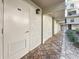 Exterior hallway with doors to unit storage spaces and plants lining the walkway at 105 4Th Ne Ave # 501, St Petersburg, FL 33701