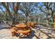 Outdoor picnic area with multiple tables and benches, surrounded by mature trees for shade at 18739 Bascomb Ln, Hudson, FL 34667