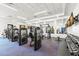 Community gym featuring weight machines, free weights, mirrors, and modern equipment at 3107 Mountain Spruce Ter, Wesley Chapel, FL 33543