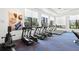 Well-equipped community fitness center with treadmills, ellipticals, and large windows at 3107 Mountain Spruce Ter, Wesley Chapel, FL 33543