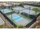 Aerial view of well-maintained pickleball courts with covered seating areas and lush landscaping at 3107 Mountain Spruce Ter, Wesley Chapel, FL 33543