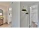 Hallway showing white walls with plants in hanging containers and luxury vinyl plank flooring at 313 Martha Ln # 4, Oldsmar, FL 34677