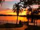 Stunning waterfront view with a vibrant sunset, palm trees, and a tranquil atmosphere at 3598 10Th Ne St, St Petersburg, FL 33704