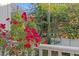 Balcony view showcasing colorful bougainvillea in a sun-drenched outdoor living space at 5024 W Homer Ave, Tampa, FL 33629