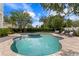 Stunning backyard pool and spa with elegant landscaping, offering a luxurious outdoor retreat at 5024 W Homer Ave, Tampa, FL 33629