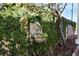 Unique wall fountain with climbing vines creating a serene and charming outdoor space at 701 S Edison Ave, Tampa, FL 33606