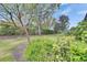 This backyard offers a serene environment with lush greenery and mature trees, enhancing privacy at 144 Silver Falls, Apollo Beach, FL 33572