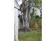 Backyard view of a shed, large tree and tropical foliage on a sunny day at 14640 Waterway Dr, Hudson, FL 34667