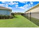 Expansive backyard with a black fence, manicured lawn, and lush greenery, showcasing outdoor space at 16247 November Rain Ct, Land O Lakes, FL 34638