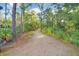 Picturesque walking trail winding through a lush green forest with tall trees, and natural beauty at 16247 November Rain Ct, Land O Lakes, FL 34638