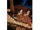 Cozy backyard fire pit with Adirondack chairs for relaxing evenings at 1859 Oklahoma Ne Ave, St Petersburg, FL 33703